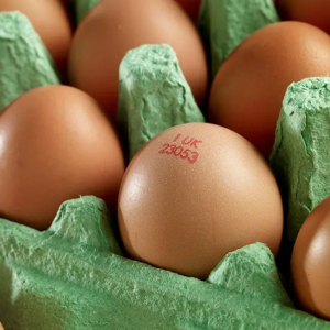 Codificador de huevos